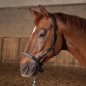 Licol en cuir Flash Noir - Harry's Horse Licol en cuir Flash Noir - Harry's Horse