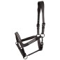 Licol en cuir Flash Noir - Harry's Horse Licol en cuir Flash Noir - Harry's Horse