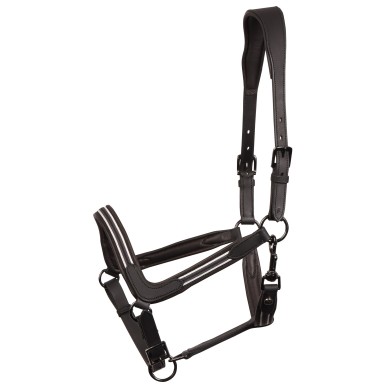 Licol en cuir Flash Noir - Harry's Horse