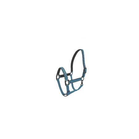 Licol et longe cheval Lami-Cell Charming – Turquoise