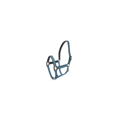Licol et longe cheval Lami-Cell Charming – Turquoise