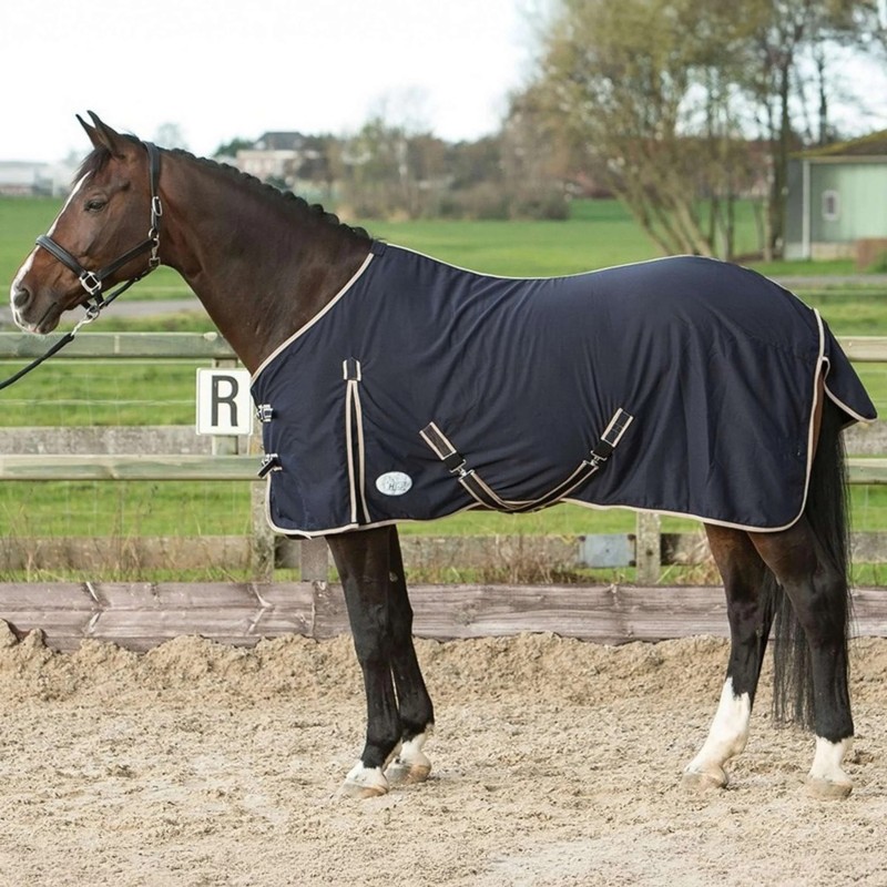 Chemise d'été en coton Honeycomb marine - Harry's Horse