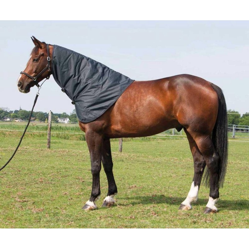 Couvre-Cou Harry's Horse Thor 200g - Ebony Couvre-Cou Harry's Horse Thor 200g - Ebony