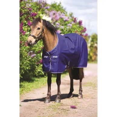 Couverture de Pré Horseware Marine/Violet Amigo Hero 6 Turnout Lite 0g