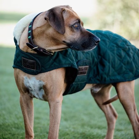 Manteau pour Chien Vert Foncé Kentucky Dogwear 160g