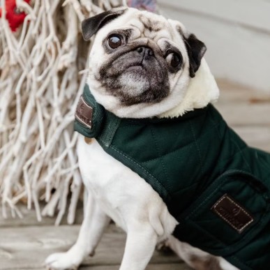 Manteau pour Chien Original Kentucky Dogwear 160g