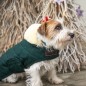 Manteau pour Chien Vert Foncé Kentucky Dogwear 160g Manteau pour Chien Vert Foncé Kentucky Dogwear 160g