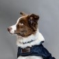 Manteau pour Chien Marine Kentucky Dogwear 160g Manteau pour Chien Marine Kentucky Dogwear 160g