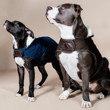 Manteau pour Chien Marine Kentucky Dogwear 160g