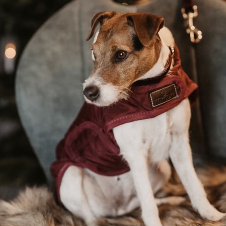 Manteau pour Chien Bordeaux Kentucky Dogwear 160g