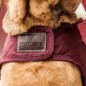 Manteau pour Chien Bordeaux Kentucky Dogwear 160g Manteau pour Chien Bordeaux Kentucky Dogwear 160g