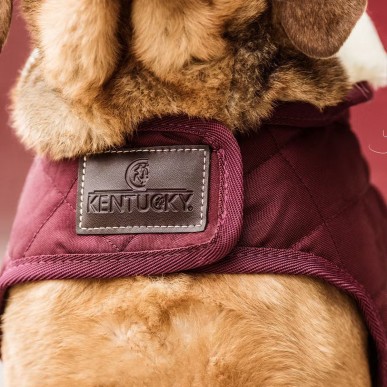 Manteau pour Chien Bordeaux Kentucky Dogwear 160g
