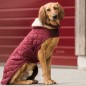 Manteau pour Chien Bordeaux Kentucky Dogwear 160g Manteau pour Chien Bordeaux Kentucky Dogwear 160g