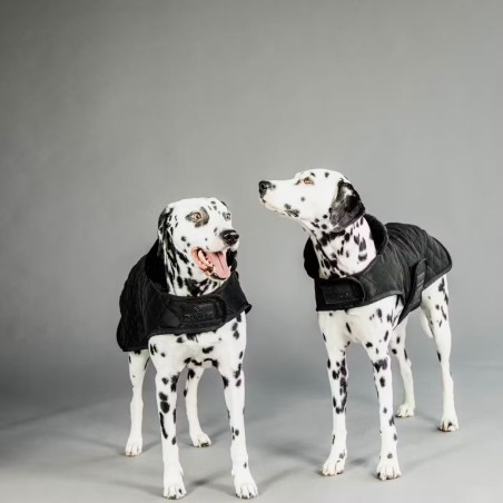 Manteau pour Chien Noir Kentucky Dogwear 160g