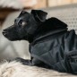 Manteau pour Chien Noir Kentucky Dogwear 160g Manteau pour Chien Noir Kentucky Dogwear 160g