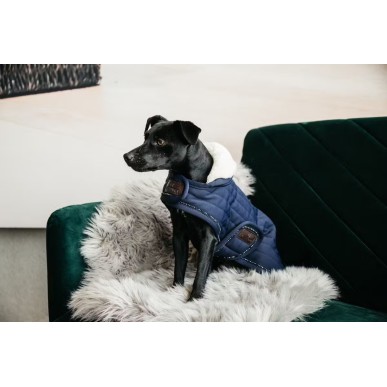 Manteau pour Chien Pearls Kentucky Dogwear Marine 160g