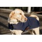 Manteau pour Chien Pearls Kentucky Dogwear Marine 160g Manteau pour Chien Pearls Kentucky Dogwear Marine 160g