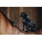 Manteau pour chien Fausse Fourrure Gris Manteau pour chien Fausse Fourrure Gris