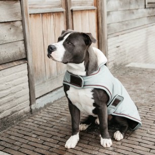 Manteau Imperméable pour Chien Kentucky Dogwear Waterproof 160g