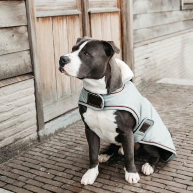 Manteau Imperméable pour Chien Kentucky Dogwear Waterproof 160g