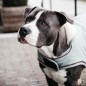 Manteau Imperméable pour Chien Kentucky Dogwear Waterproof 160g Manteau Imperméable pour Chien Kentucky Dogwear Waterproof 160g