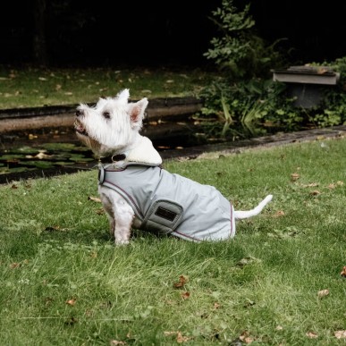 Manteau Imperméable pour Chien Kentucky Dogwear Waterproof 160g