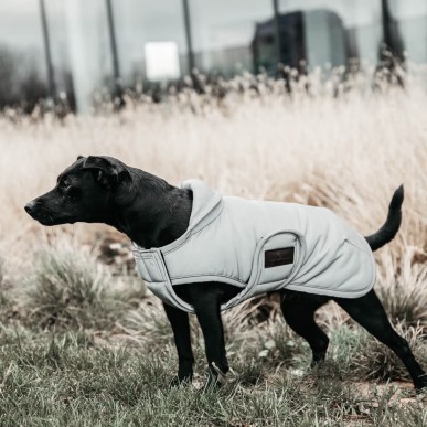 Manteau pour Chien Réfléchissant & Déperlant Kentucky Dogwear 150g