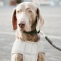 Manteau pour Chien Réfléchissant & Déperlant Kentucky Dogwear 150g Manteau pour Chien Réfléchissant & Déperlant Kentucky Dogwear 150g