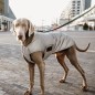Manteau pour Chien Réfléchissant & Déperlant Kentucky Dogwear 150g Manteau pour Chien Réfléchissant & Déperlant Kentucky Dogwear 150g