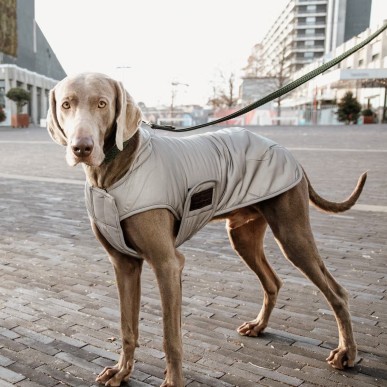 Manteau pour Chien Réfléchissant & Déperlant Kentucky Dogwear 150g
