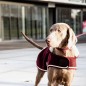 Manteau pour Chien Heavy Fleece Kentucky Dogwear Manteau pour Chien Heavy Fleece Kentucky Dogwear