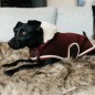 Manteau pour Chien Heavy Fleece Kentucky Dogwear Manteau pour Chien Heavy Fleece Kentucky Dogwear