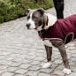 Manteau pour Chien Heavy Fleece Kentucky Dogwear Manteau pour Chien Heavy Fleece Kentucky Dogwear