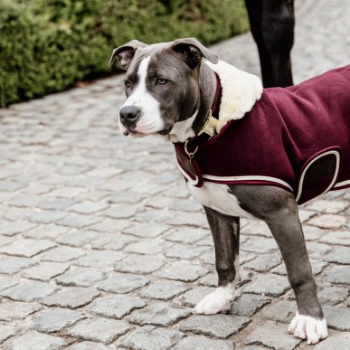 Manteau pour Chien Heavy Fleece Kentucky Dogwear