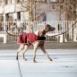 Manteau pour Chien Heavy Fleece Kentucky Dogwear Manteau pour Chien Heavy Fleece Kentucky Dogwear