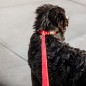Laisse Corduroy Kentucky Dogwear Rouge Laisse Corduroy Kentucky Dogwear Rouge