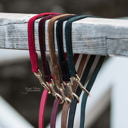 Laisse Corduroy Kentucky Dogwear Noir