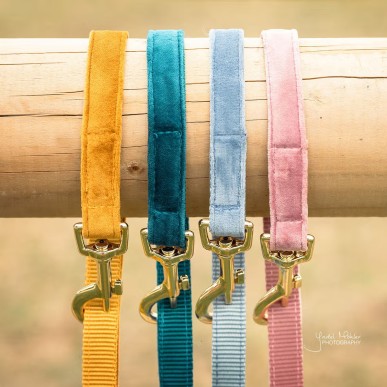 Laisse Velvet Kentucky Dogwear Emeraude