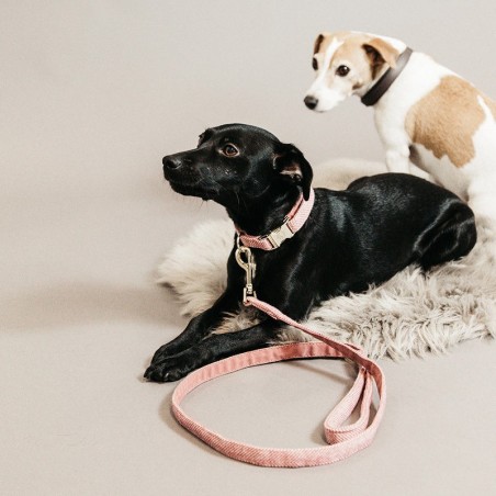 Laisse Wool Kentucky Dogwear Grise