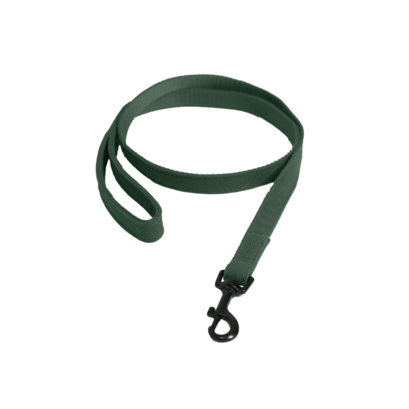 Laisse pour chien Lézard Vert Olive Laisse pour chien Lézard Vert Olive