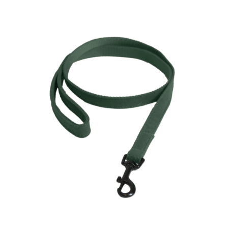Laisse pour chien Lézard Vert Olive