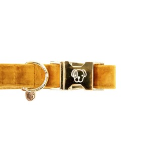 Collier pour chien Velvet Kentucky Moutarde