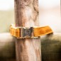 Collier pour chien Velvet Kentucky Moutarde Collier pour chien Velvet Kentucky Moutarde