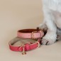 Collier Pour Chien Cuir Vegan Kentucky Rouge Collier Pour Chien Cuir Vegan Kentucky Rouge