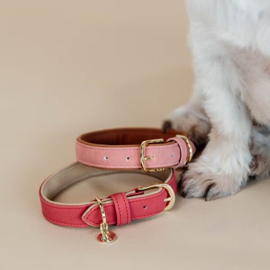 Collier Pour Chien Cuir Vegan Kentucky Rouge