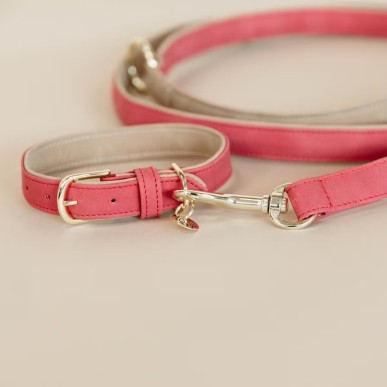 Collier Pour Chien Cuir Vegan Kentucky Rouge