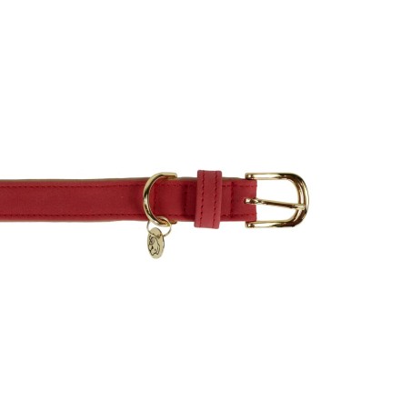 Collier Pour Chien Cuir Vegan Kentucky Rouge