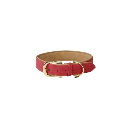 Collier Pour Chien Cuir Vegan Kentucky Rouge