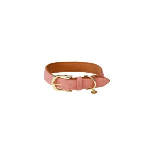 Collier Pour Chien Cuir Vegan Kentucky Pêche