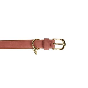 Collier Pour Chien Cuir Vegan Kentucky Pêche